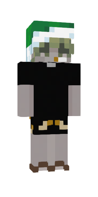 Gray Slim #45fc Minecraft skin avatar