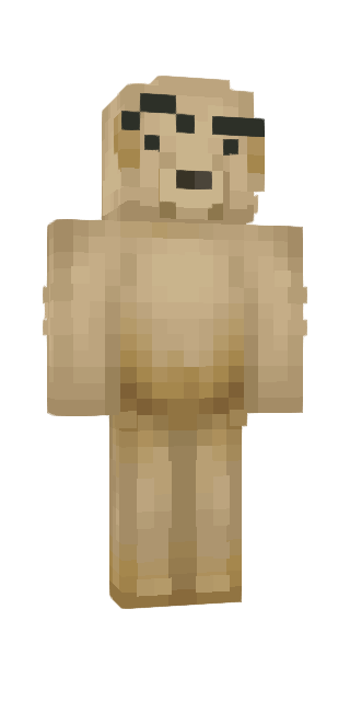 Gray Classic #a28e Minecraft skin avatar