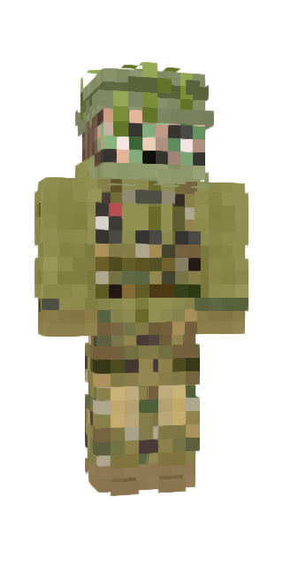 Gray Classic #bb22 Minecraft skin avatar
