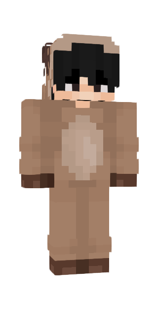 Gray Classic #f359 Minecraft skin avatar
